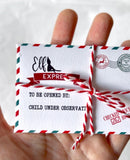 ELF MINI Personalised Christmas Letters. 10pieces, 2 Letters arrival and goodbye, 2 Envelopes, Twine,4  Elf report receipts. Elf on the shelf