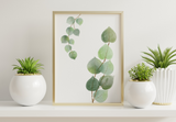 Bathroom Prints Botanicals Eucalyptus: Just Eucalyptus 1